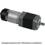 P205, motoriduttore 24Vdc 26,5/22 giri/minuto