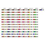 Resistenza 27 Ohm 1/4W 2,5x6,8 St.C. 5% CFR-25