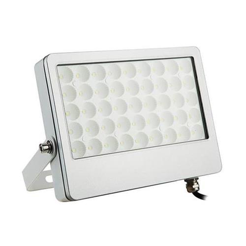 Faretto 9-30Vcc/Vac 50W 4000K IP65